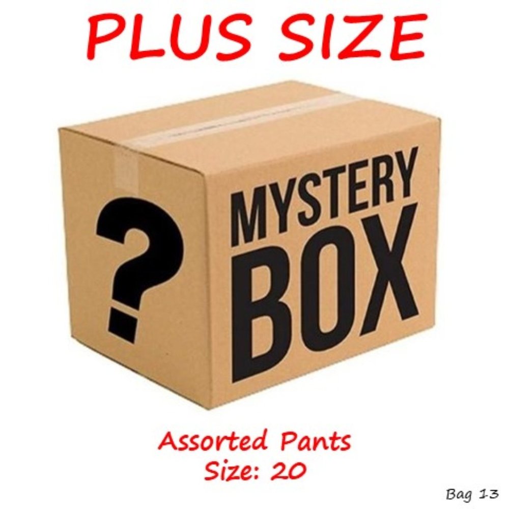 Plus Size Pants - Reseller / Total-Mystery Box